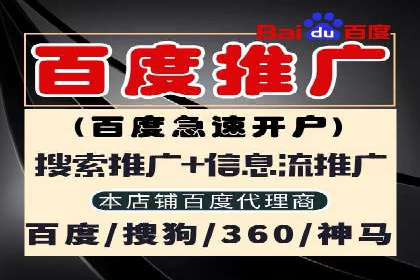 高效SEM托管服务：成功案例深度解析